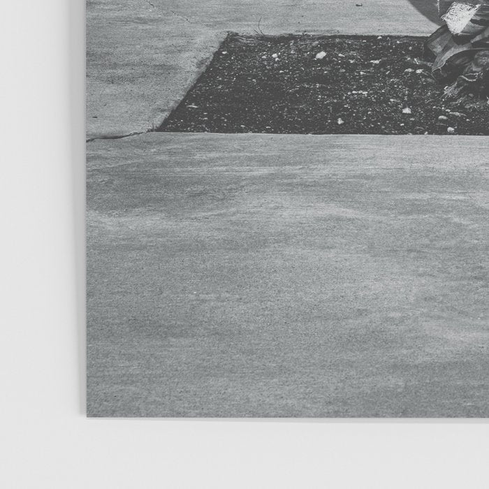 Marfa Texas Agave x West Texas Photography Poster Gallery Image 3