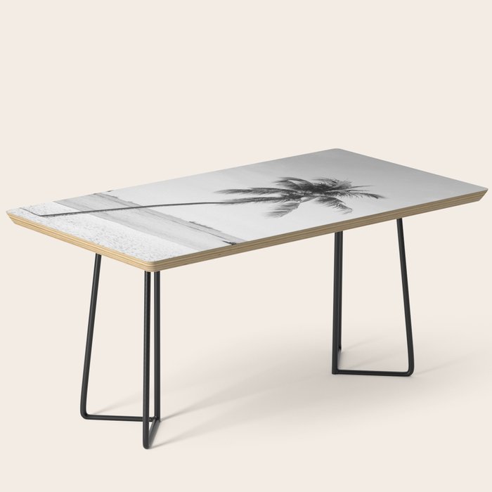 Palm Trees 16 Coffee Table Gallery Image 1