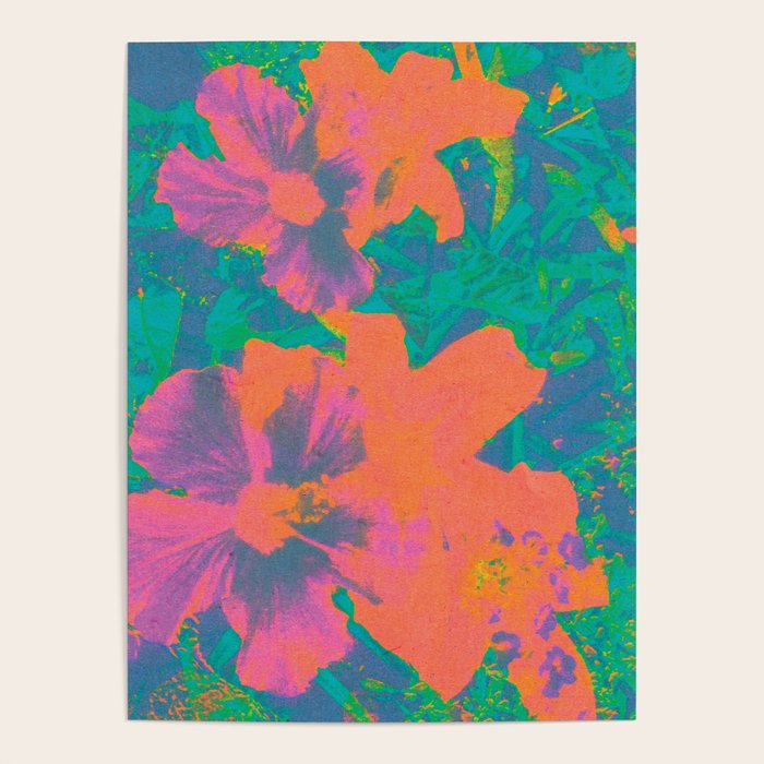 hawaii, 1965 Poster Gallery Image 1