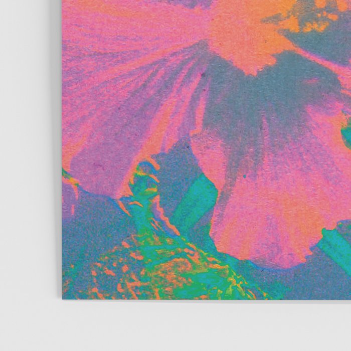 hawaii, 1965 Poster Gallery Image 3