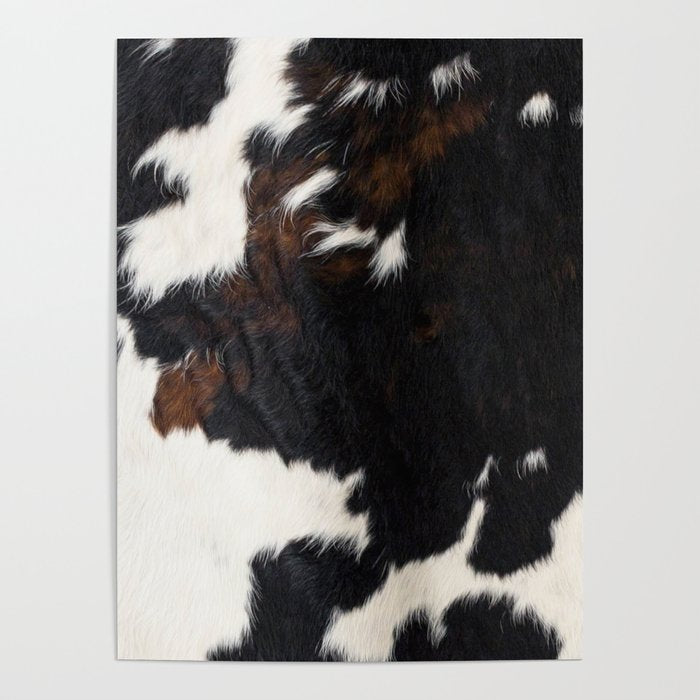 Cowhide Farmhouse Decor (photograph) Poster Gallery Image 4