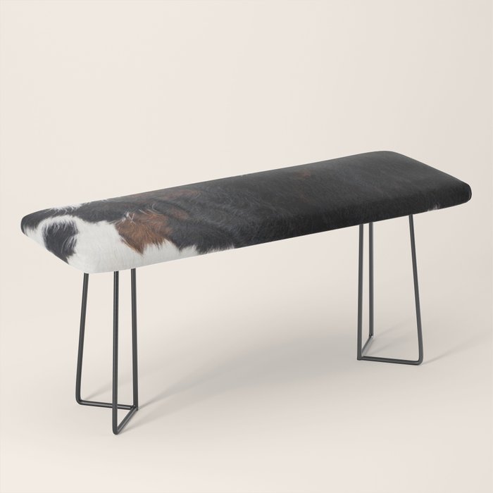 Cowhide Farmhouse Decor (photograph) Bench Gallery Image 1