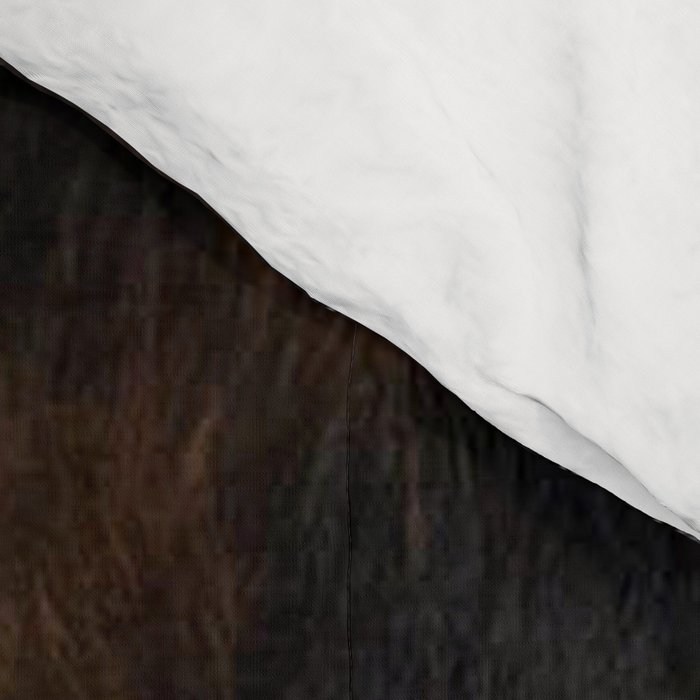 Cowhide Farmhouse Decor (photograph) Comforter Gallery Image 4