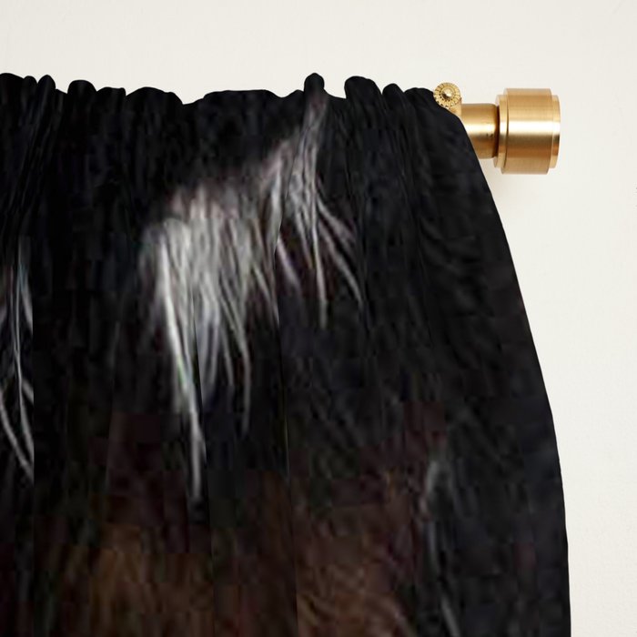 Cowhide Farmhouse Decor (photograph) Window Curtain Gallery Image 2