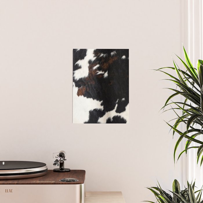 Cowhide Farmhouse Decor (photograph) Poster Gallery Image 2