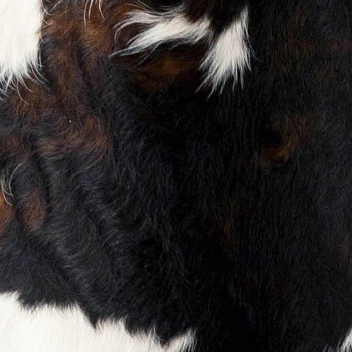 Cowhide Farmhouse Decor (photograph) Coffee Mug Gallery Image 2