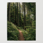 Walking through the Forest Poster Gallery Image 4