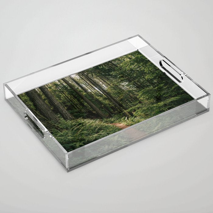 Walking through the Forest Acrylic Tray Gallery Image 1
