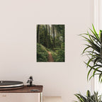 Walking through the Forest Poster Gallery Image 2