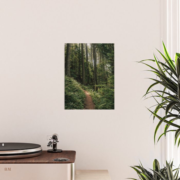 Walking through the Forest Poster Gallery Image 2