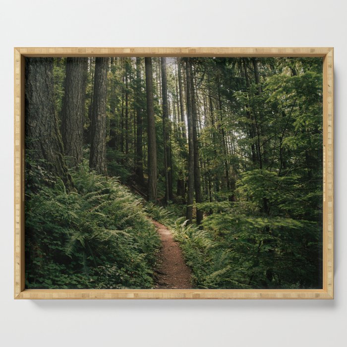 Walking through the Forest Serving Tray Gallery Image 1