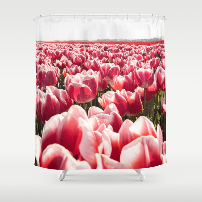 Tulip Field In Holland Floral Photo | Europe Travel Photography Red Flowers Spring Art Print Shower Curtain Gallery Image 1