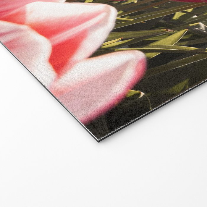 Tulip Field In Holland Floral Photo | Europe Travel Photography Red Flowers Spring Art Print Welcome Mat Gallery Image 2