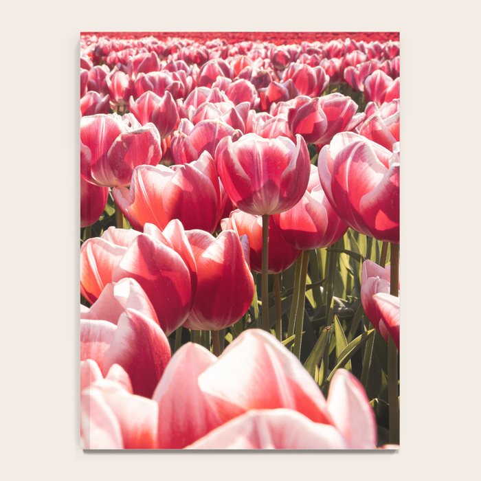 Tulip Field In Holland Floral Photo | Europe Travel Photography Red Flowers Spring Art Print Notebook Gallery Image 4