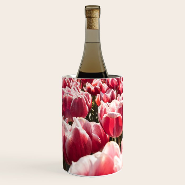 Tulip Field In Holland Floral Photo | Europe Travel Photography Red Flowers Spring Art Print Wine Chiller Gallery Image 2