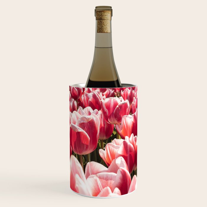 Tulip Field In Holland Floral Photo | Europe Travel Photography Red Flowers Spring Art Print Wine Chiller Gallery Image 1