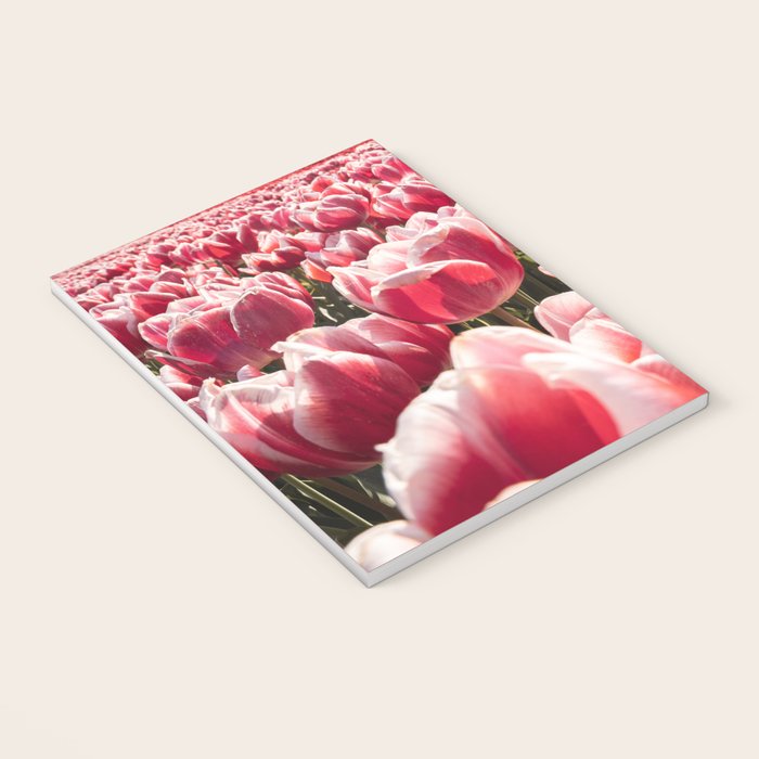 Tulip Field In Holland Floral Photo | Europe Travel Photography Red Flowers Spring Art Print Notebook Gallery Image 3