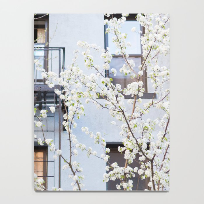 Brooklyn Spring Notebook Gallery Image 4