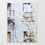 Brooklyn Spring Notebook Gallery Image 4