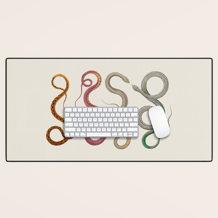 Albertus Seba Snakes Illustration Leopard Snake  Desk Mat Gallery Image 1