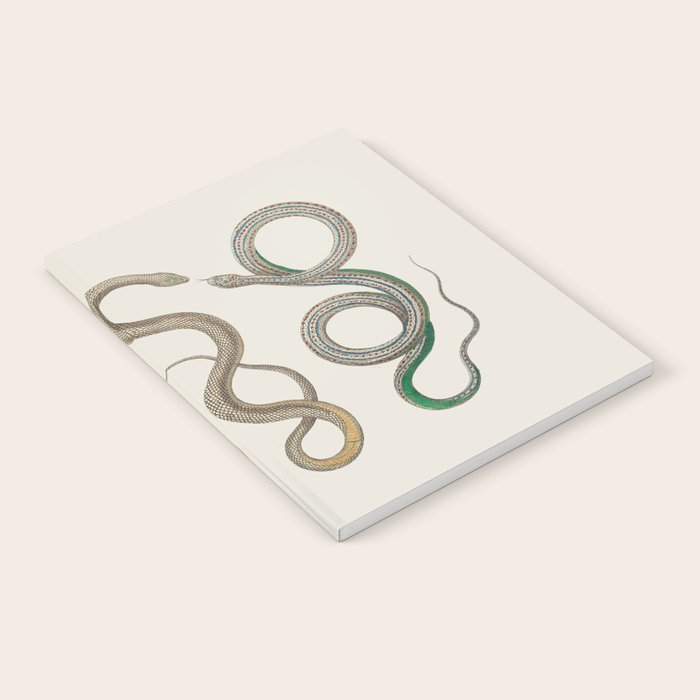 Albertus Seba Snakes Illustration Leopard Snake  Notebook Gallery Image 2