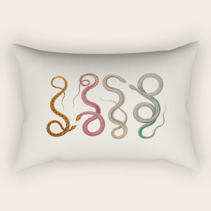 Albertus Seba Snakes Illustration Leopard Snake  Rectangular Pillow Gallery Image 2