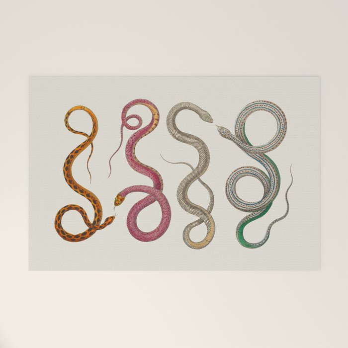 Albertus Seba Snakes Illustration Leopard Snake  Welcome Mat Gallery Image 1