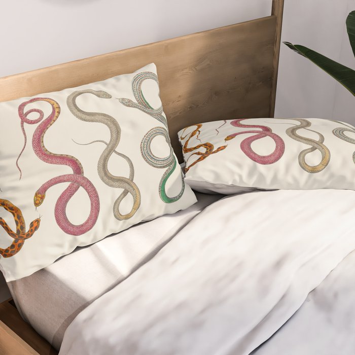 Albertus Seba Snakes Illustration Leopard Snake  Pillow Sham Gallery Image 2