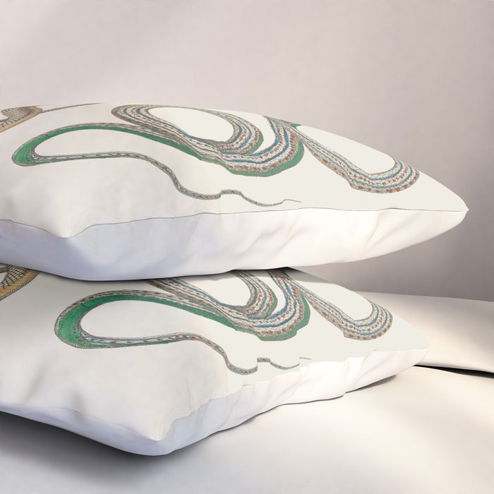 Albertus Seba Snakes Illustration Leopard Snake  Pillow Sham Gallery Image 3