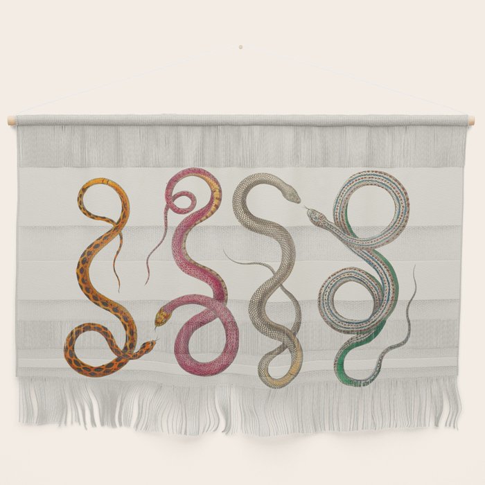 Albertus Seba Snakes Illustration Leopard Snake  Wall Hanging Gallery Image 1