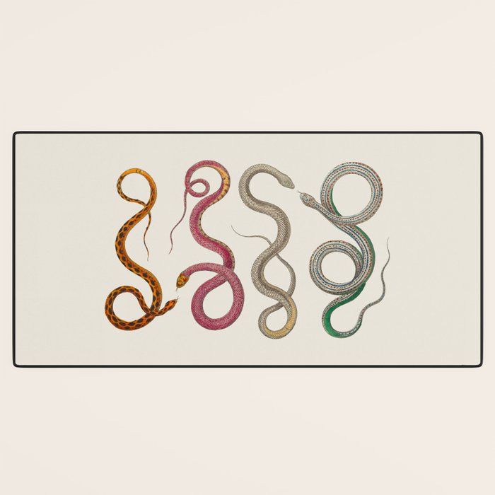 Albertus Seba Snakes Illustration Leopard Snake  Desk Mat Gallery Image 3