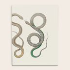 Albertus Seba Snakes Illustration Leopard Snake  Notebook Gallery Image 4