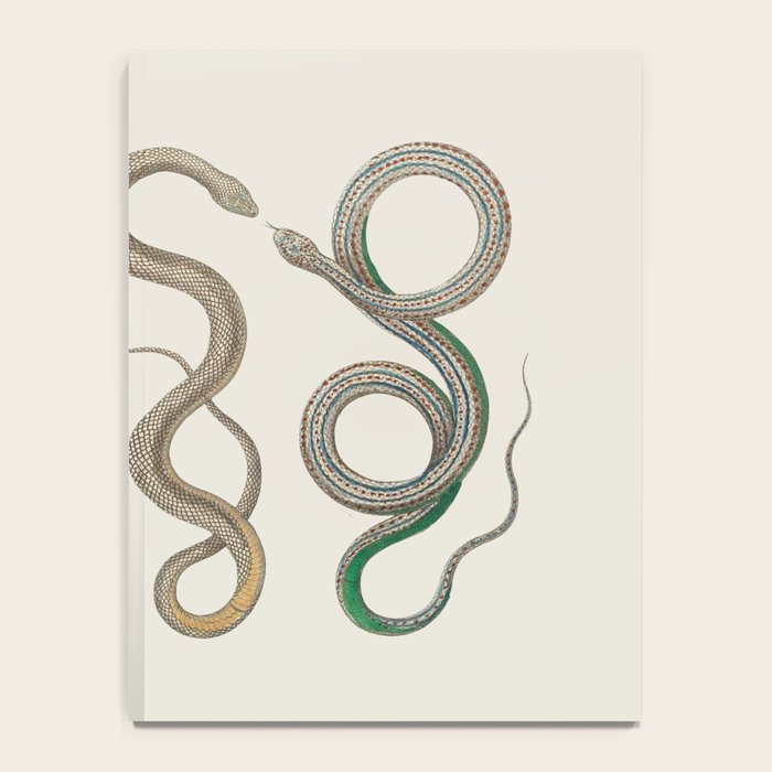 Albertus Seba Snakes Illustration Leopard Snake  Notebook Gallery Image 4