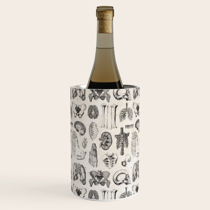 Human Anatomy Wine Chiller Gallery Image 3