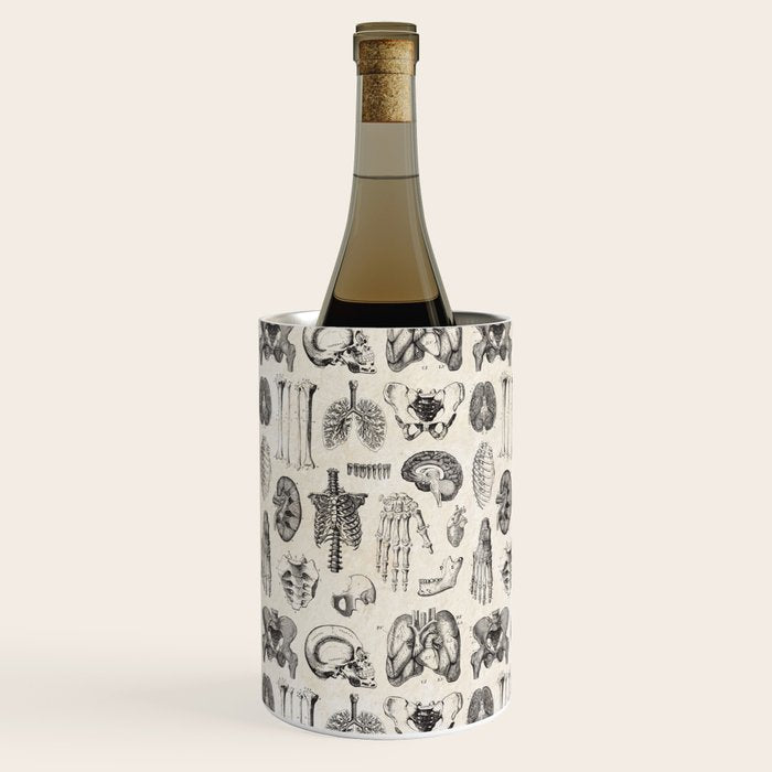 Human Anatomy Wine Chiller Gallery Image 2