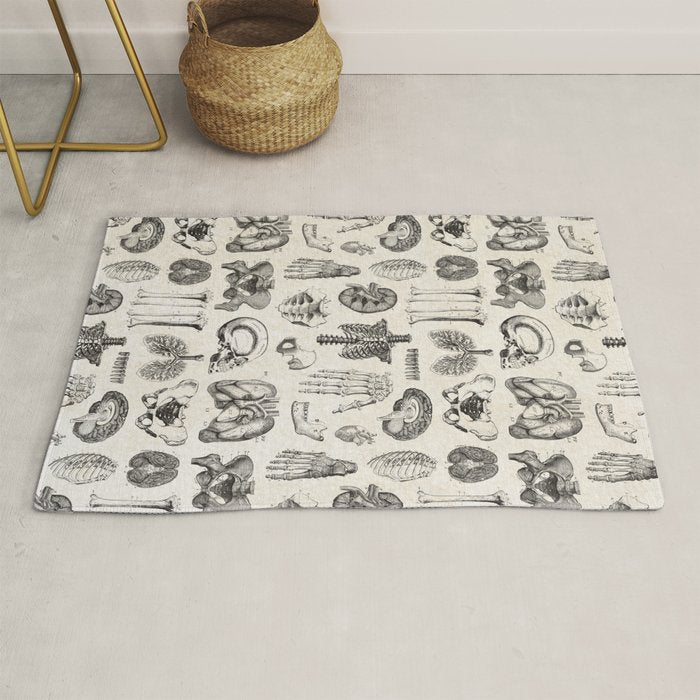 Human Anatomy Rug Gallery Image 1