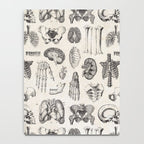 Human Anatomy Notebook Gallery Image 4
