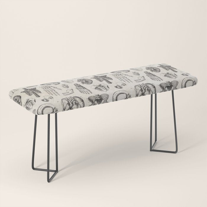 Human Anatomy Bench Gallery Image 1