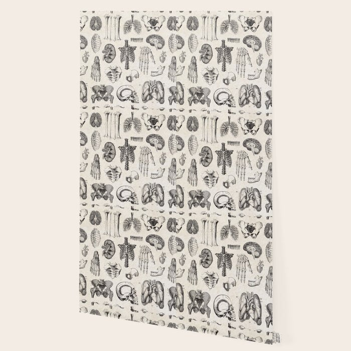 Human Anatomy Wallpaper Gallery Image 2