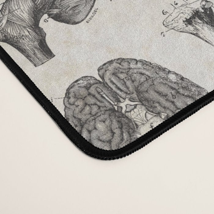Human Anatomy Desk Mat Gallery Image 4