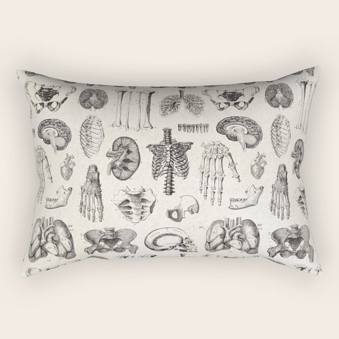 Human Anatomy Rectangular Pillow Gallery Image 2
