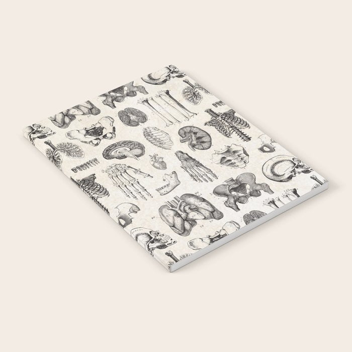 Human Anatomy Notebook Gallery Image 1