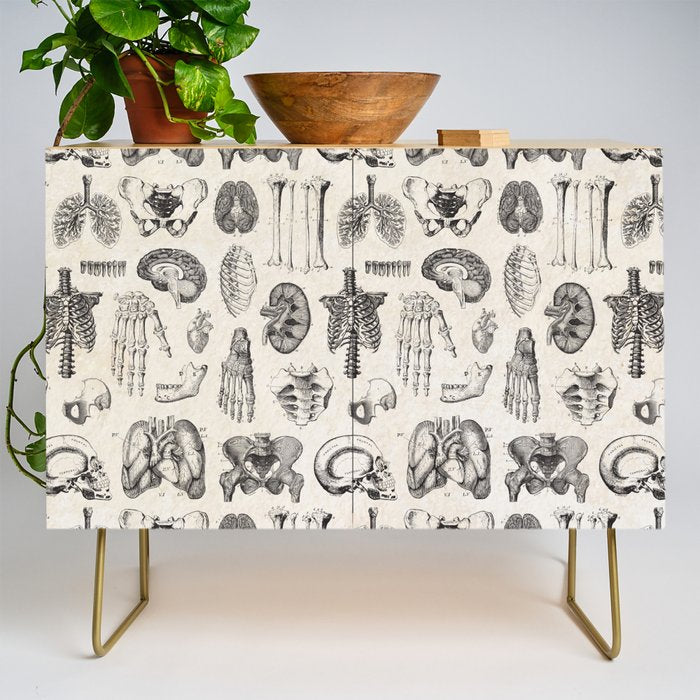 Human Anatomy Credenza Gallery Image 1