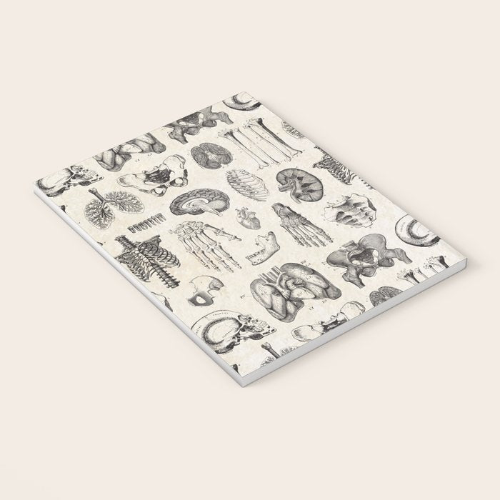 Human Anatomy Notebook Gallery Image 3