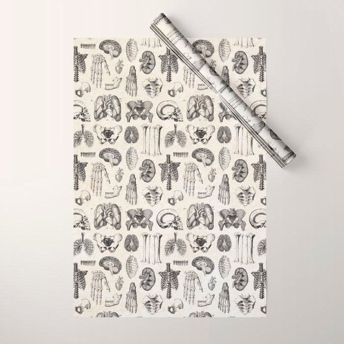 Human Anatomy Wrapping Paper Gallery Image 1