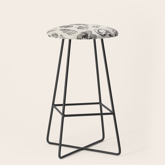 Human Anatomy Stool Gallery Image 1