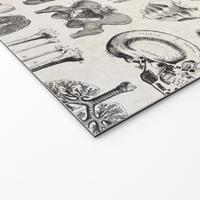 Human Anatomy Welcome Mat Gallery Image 2