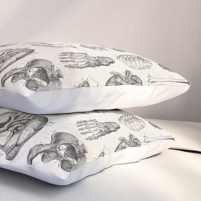 Human Anatomy Pillow Sham Gallery Image 3