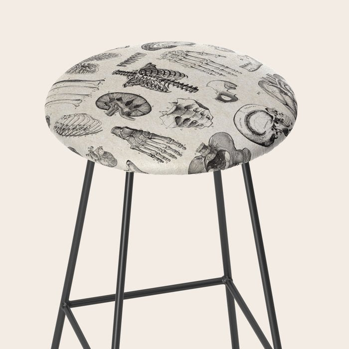 Human Anatomy Stool Gallery Image 2