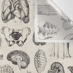 Human Anatomy Wall Tapestry Gallery Image 3